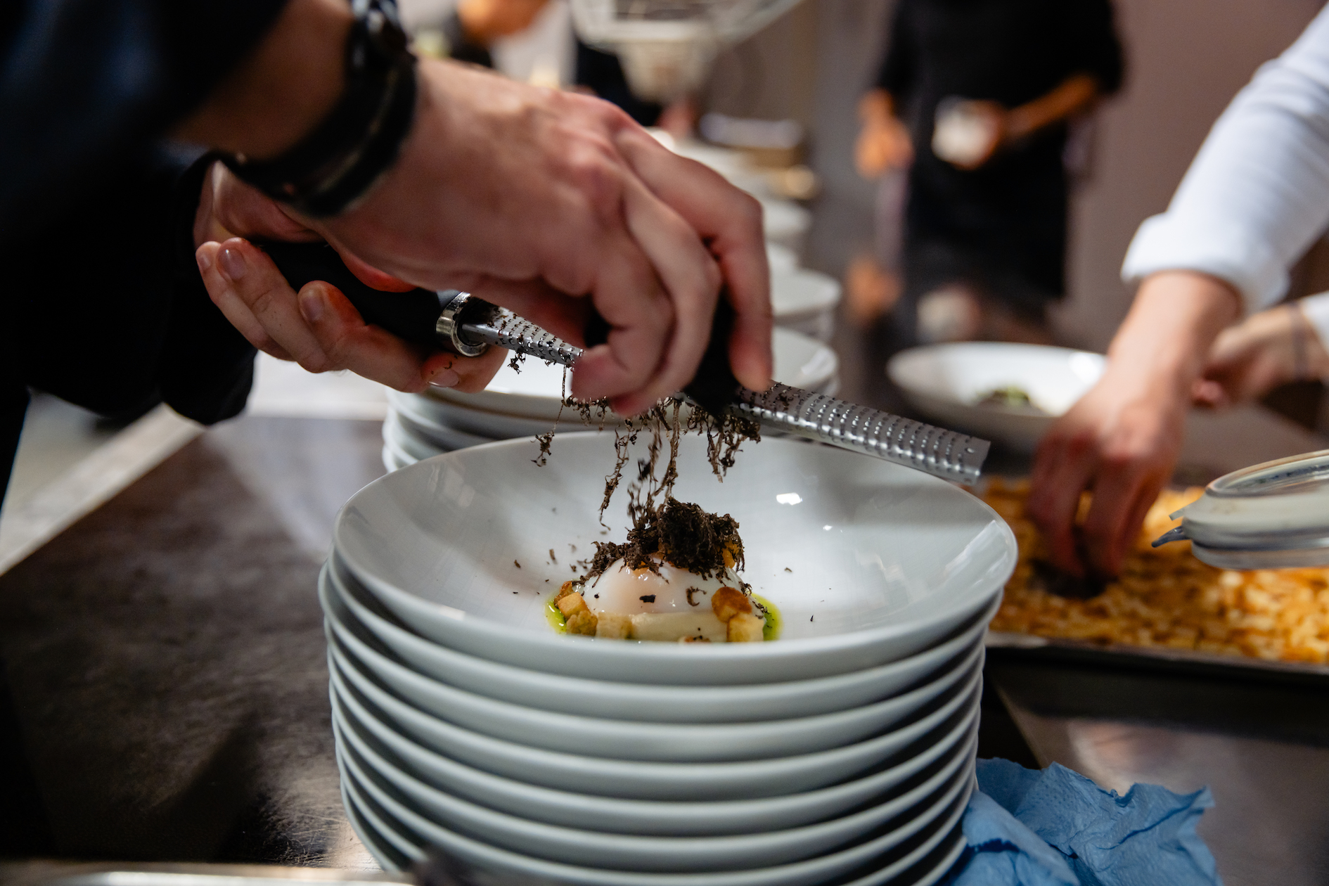Steil Art Food Festival